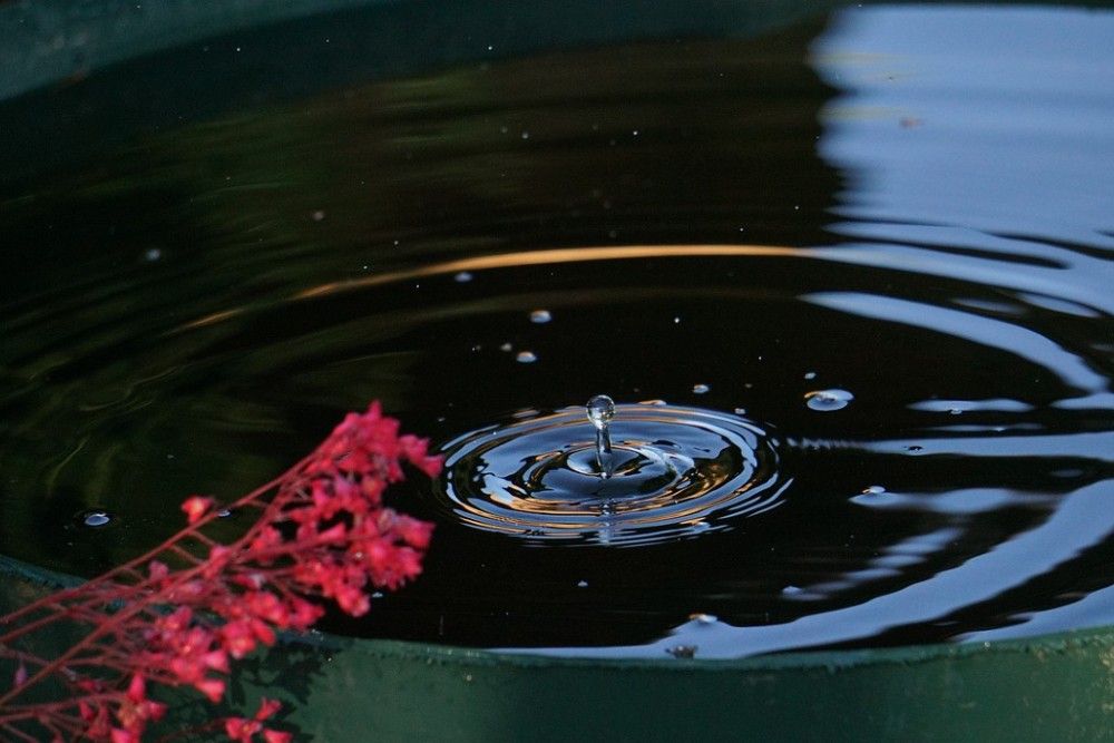 waterdrop in rain barrel with red plant resting on the side