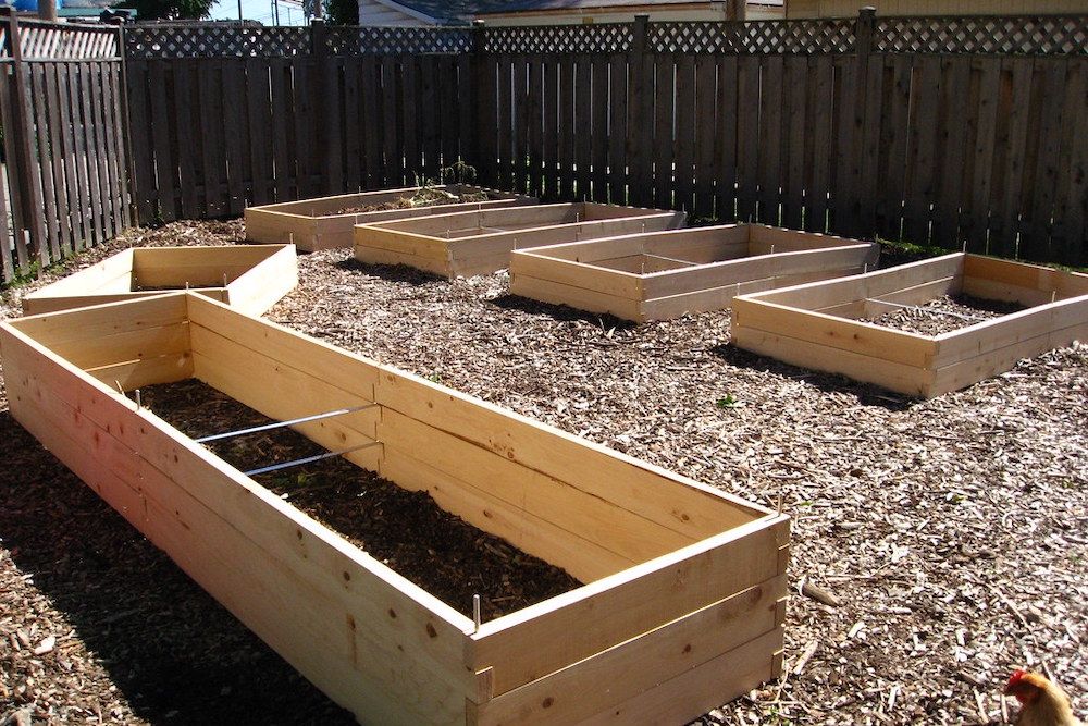How Wide Should You Make Your Raised Bed?