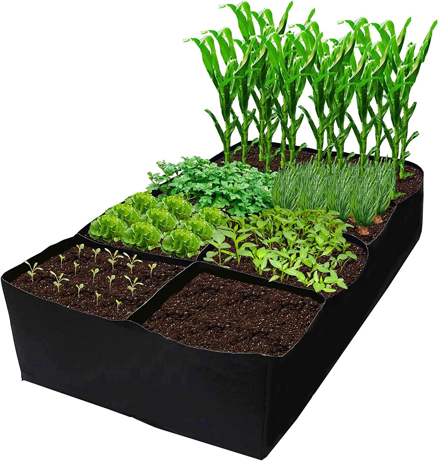 8 Best Raised Garden Beds of 2023