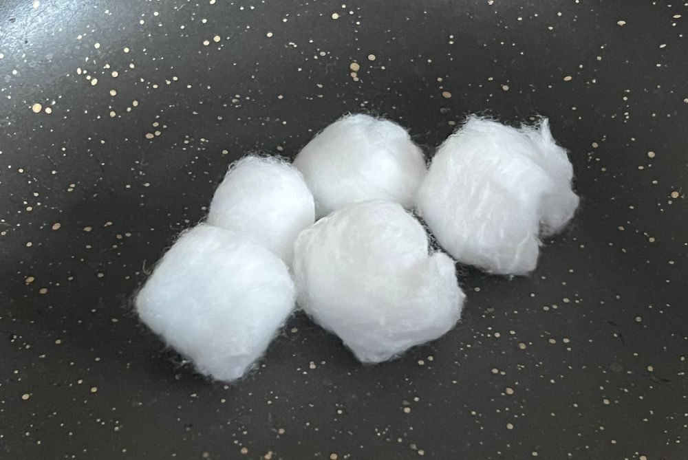 How to Germinate Seeds Using Cotton Balls