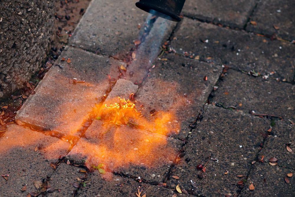 gas wand to remove weeds from pavement
