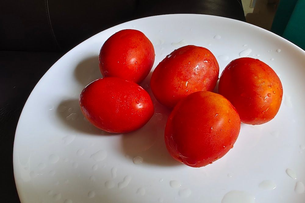 Indeterminate vs Determinate Tomatoes What's the Difference?