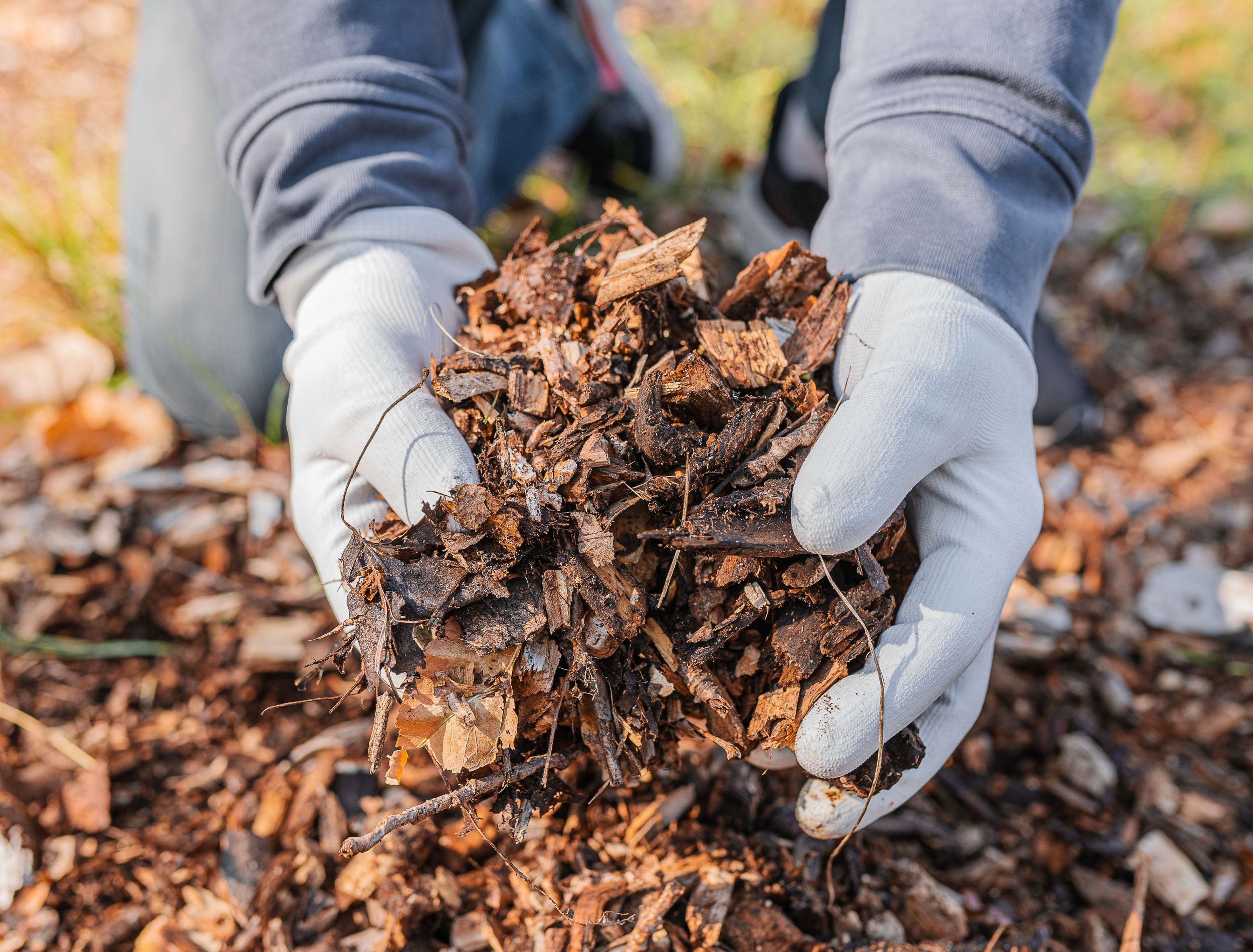 How to Refresh Old Garden Mulch