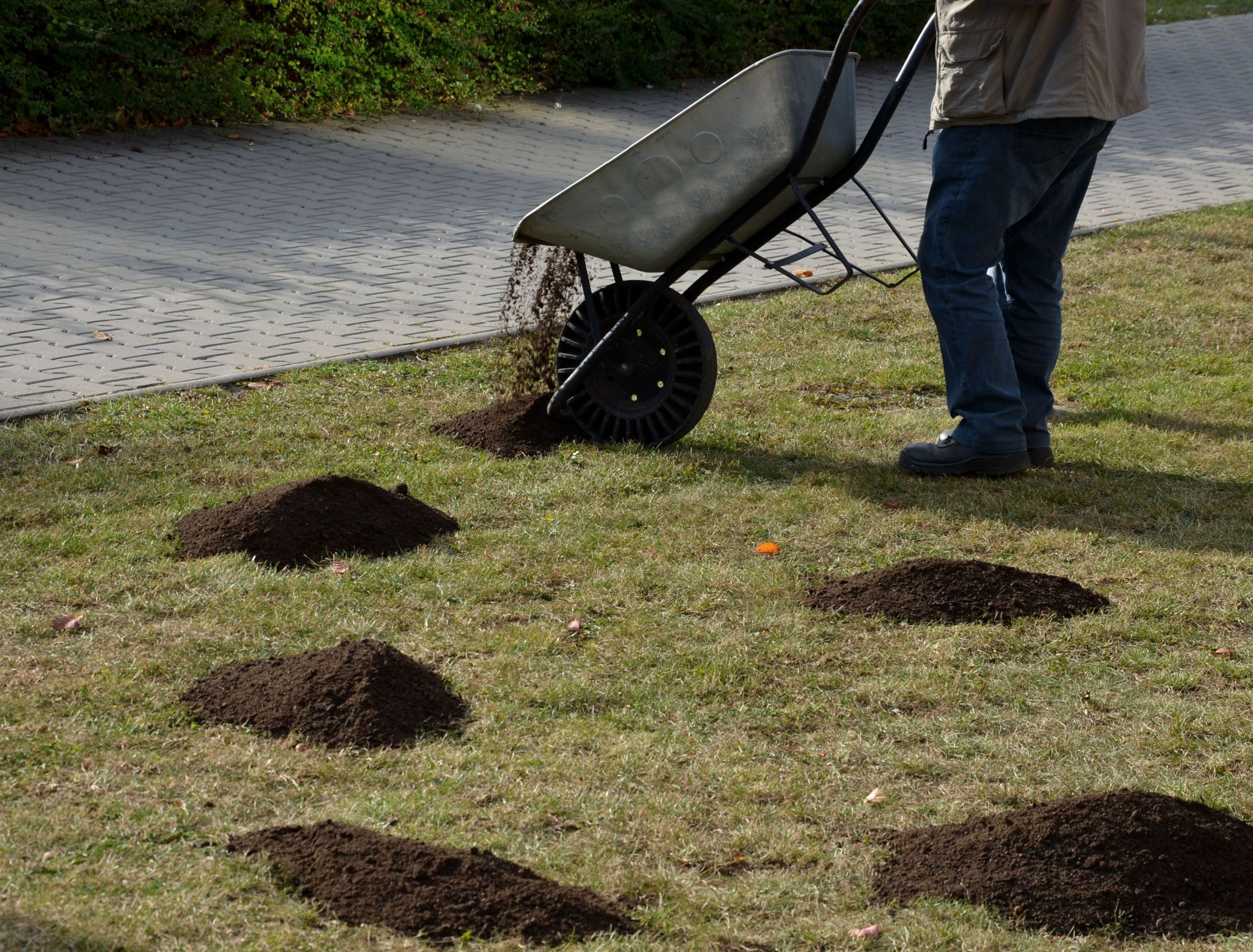 Why You Should Top Dress Your Lawn