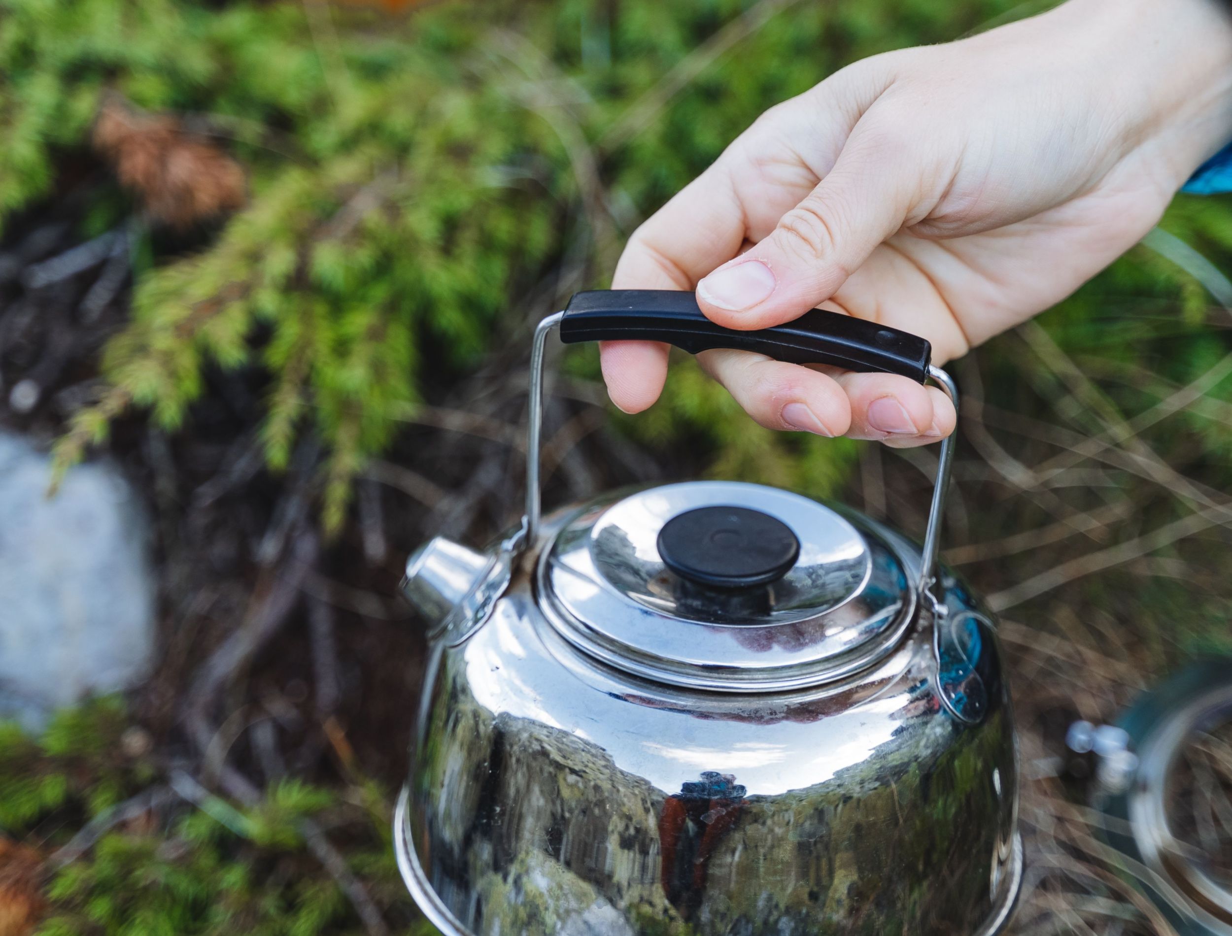 How To Kill Weeds With Boiling Water   Shutterstock 2287137837 