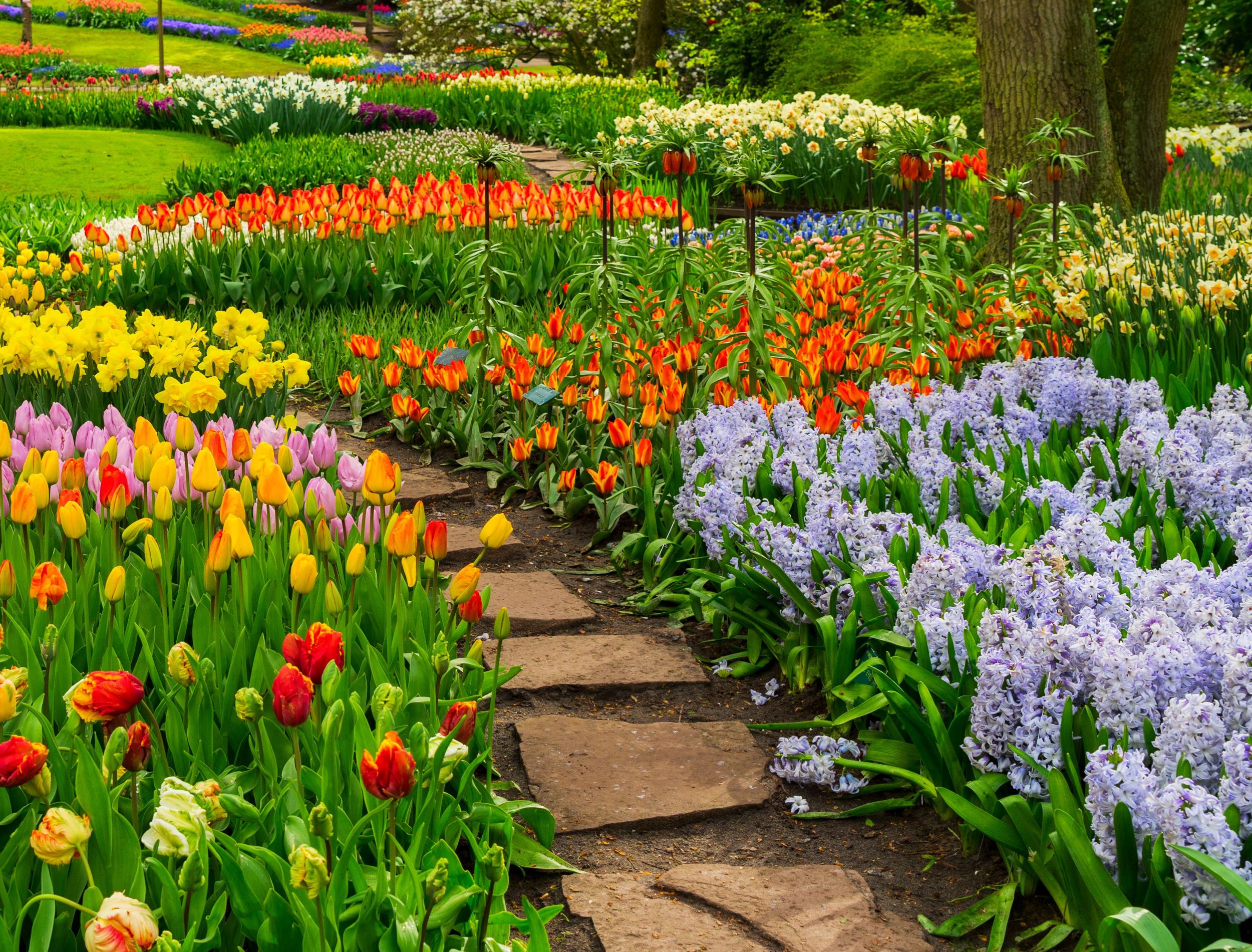 How to Plan a Garden That Blooms All Year