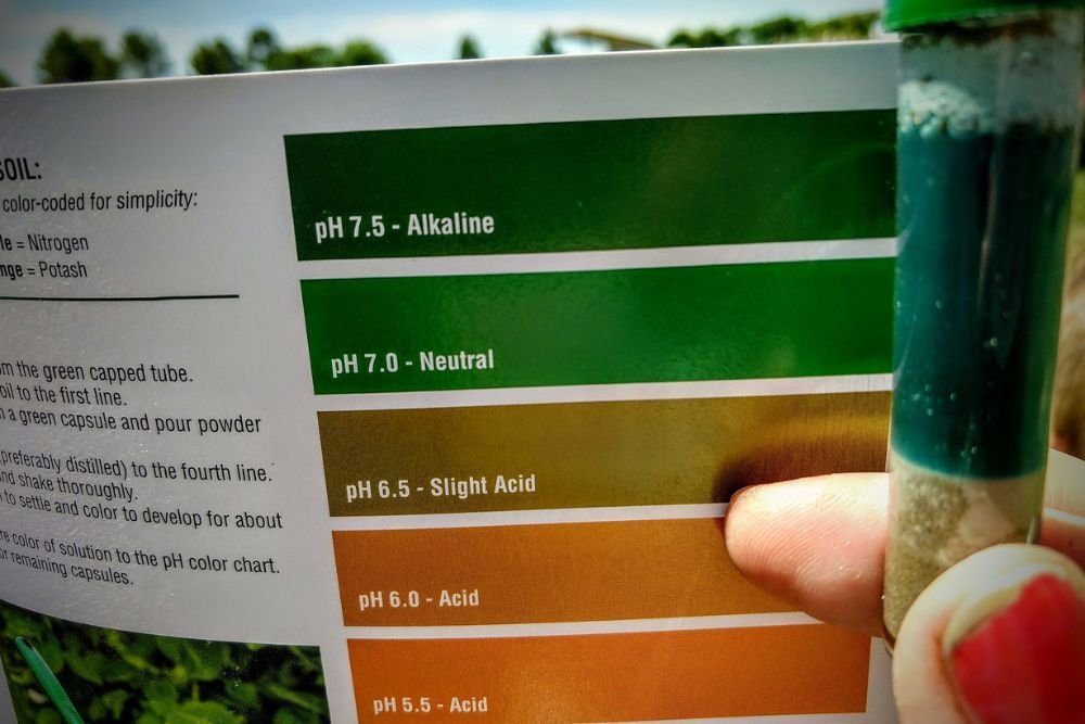 Why You Should Sprinkle Baking Soda in Your Compost