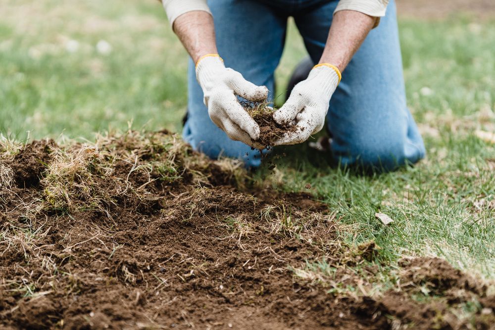 How to Use Epsom Salt for Tomato Plant Blossom Rot