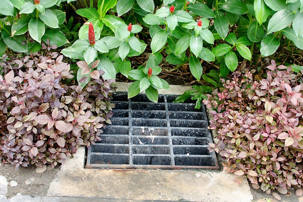How to Improve Soil Drainage in Your Garden