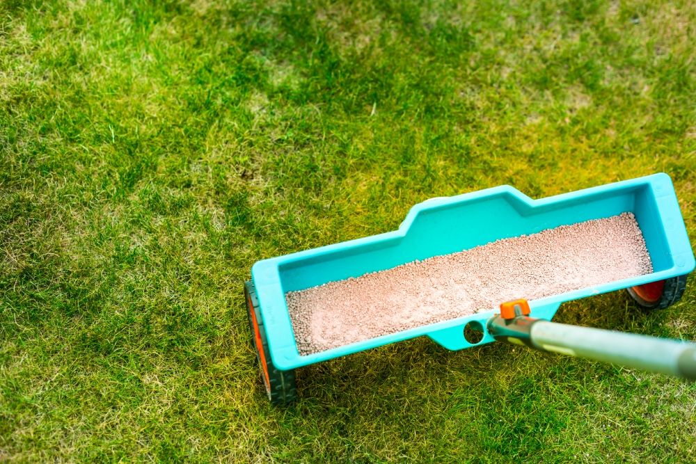 Why You Should Top Dress Your Lawn