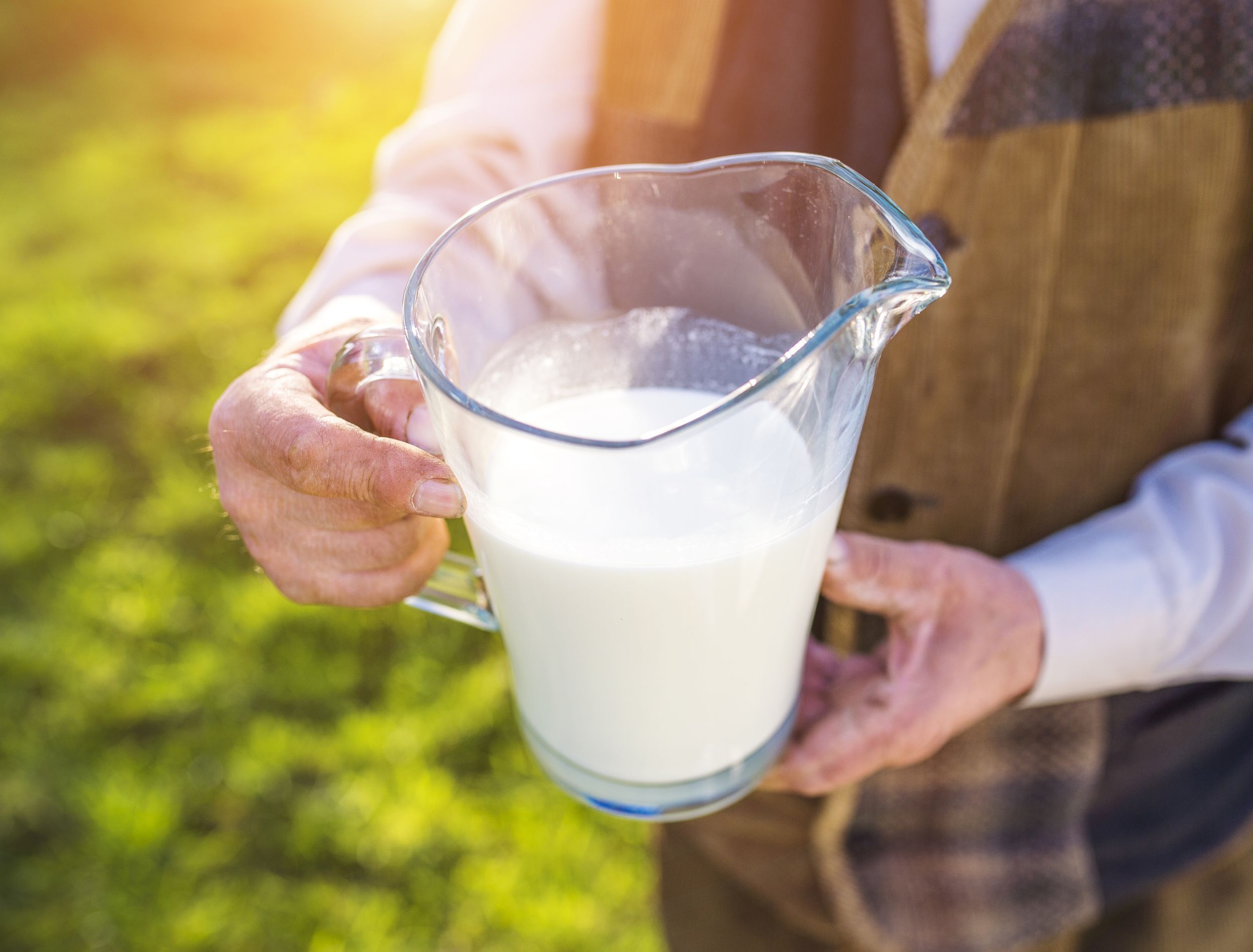 How to Use Milk for Plant Care