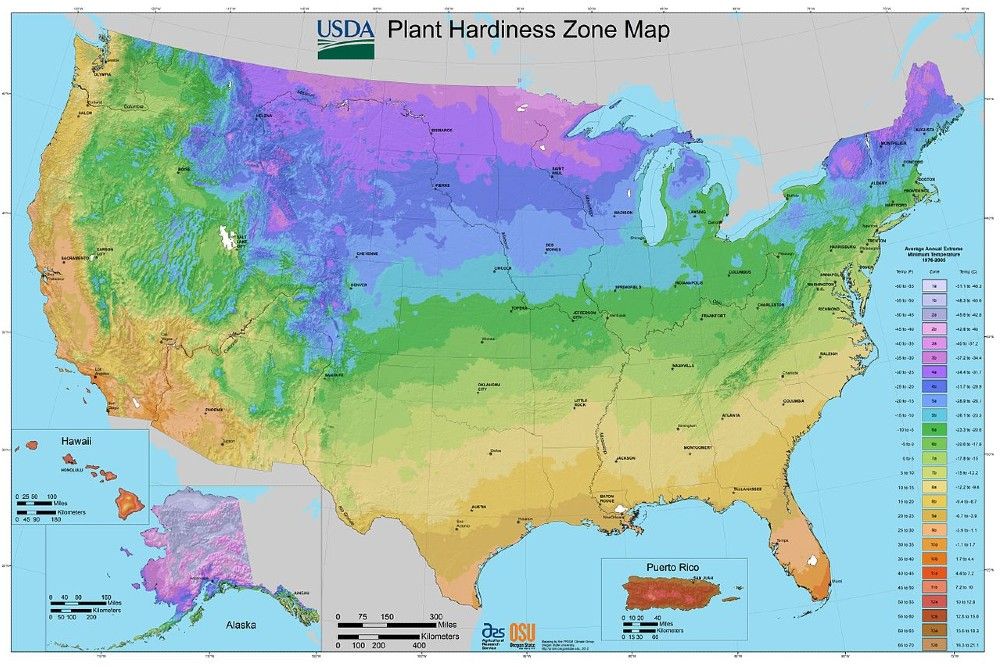 1280px-2012_USDA_Plant_Hardiness_Zone_Map_(USA)