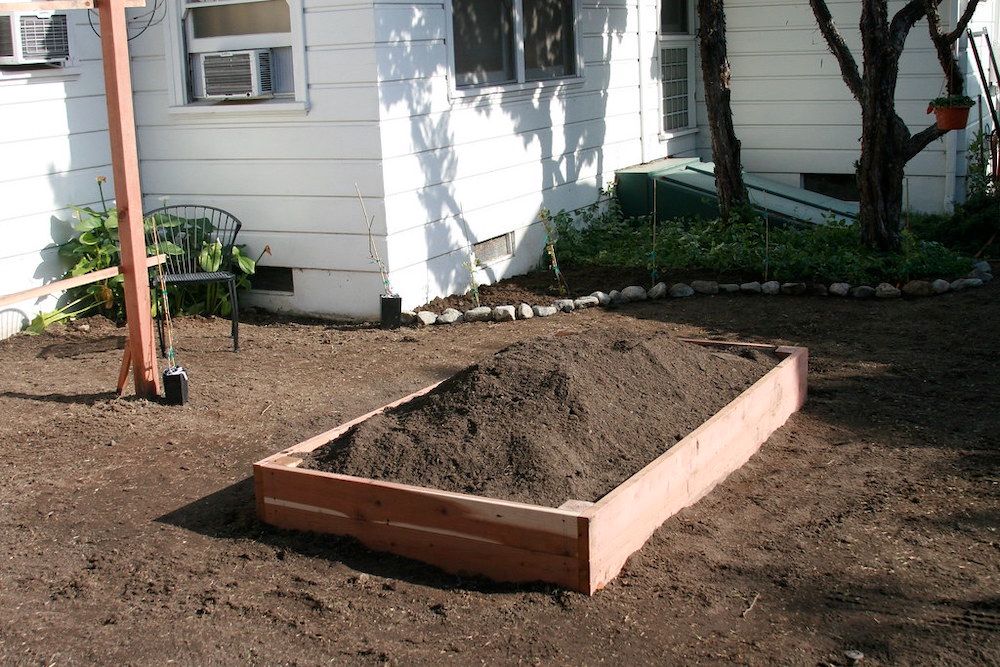 6 Tips For Growing Potatoes in Raised Beds