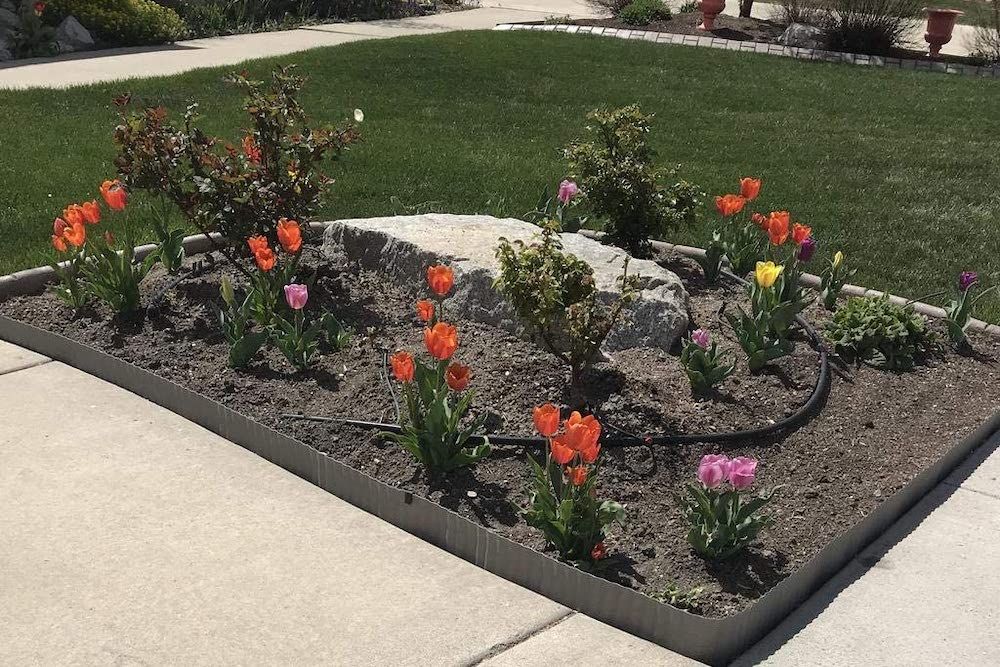 Creating Beautiful Borders How to Edge Your Flower Beds