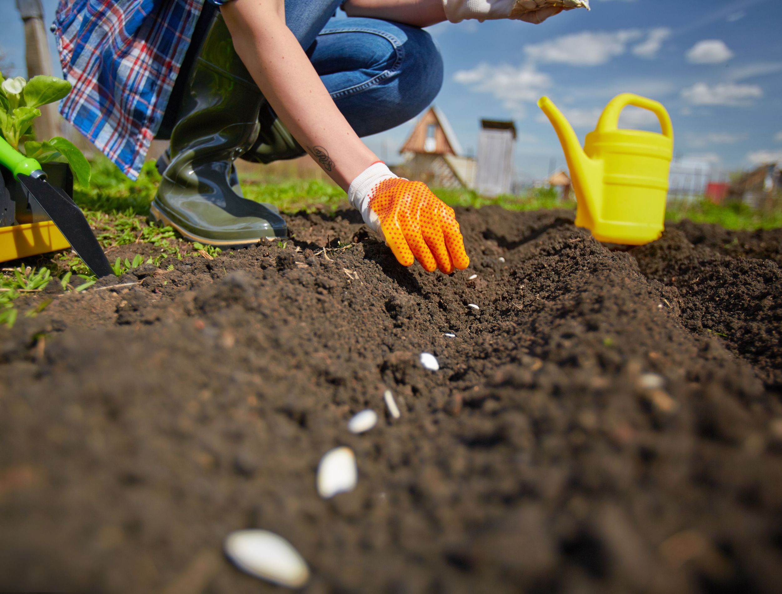 5 Plants to Plant in May