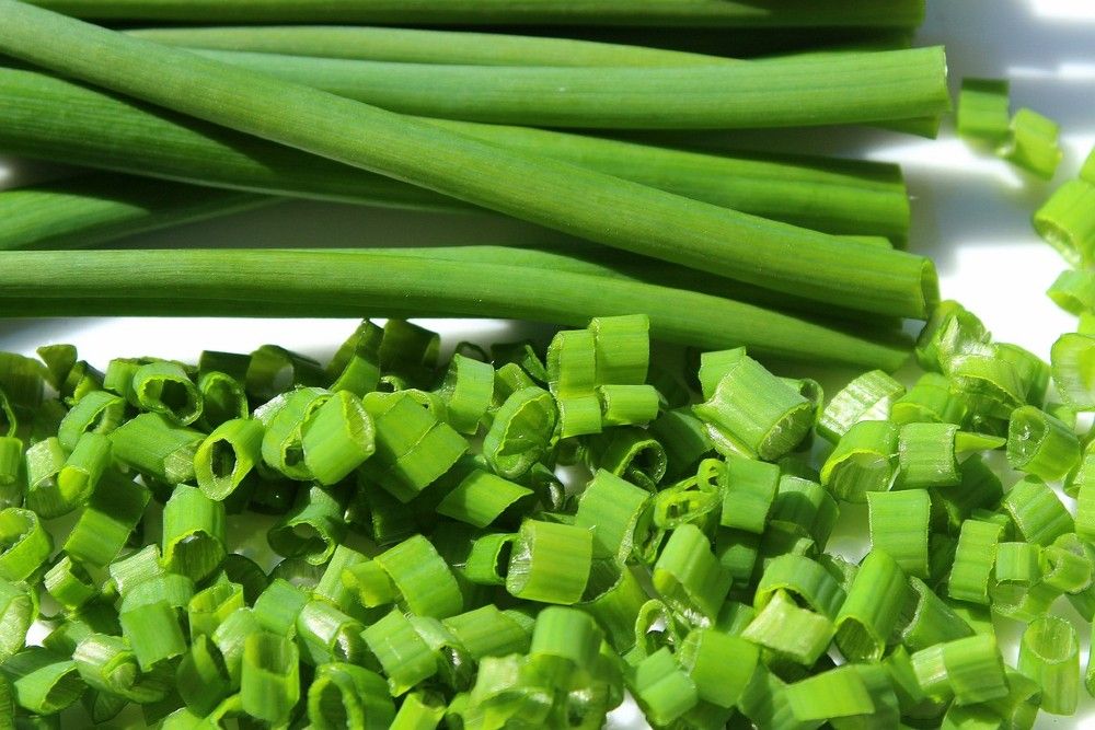 5 Best Herbs To Grow In Your Kitchen   Chives Harvest 