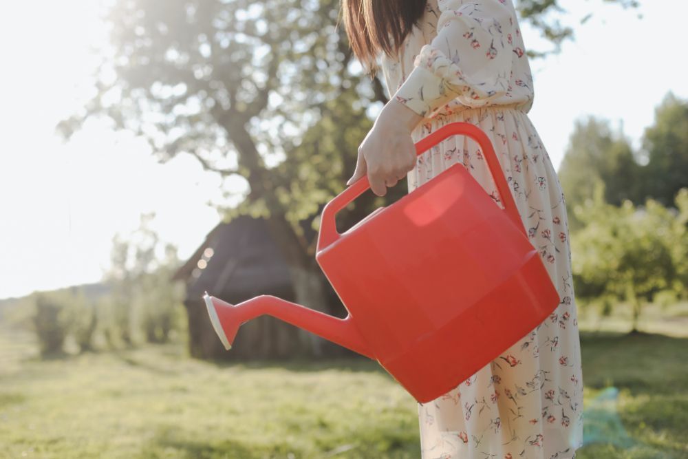 Gardener holding a watering can outdoors