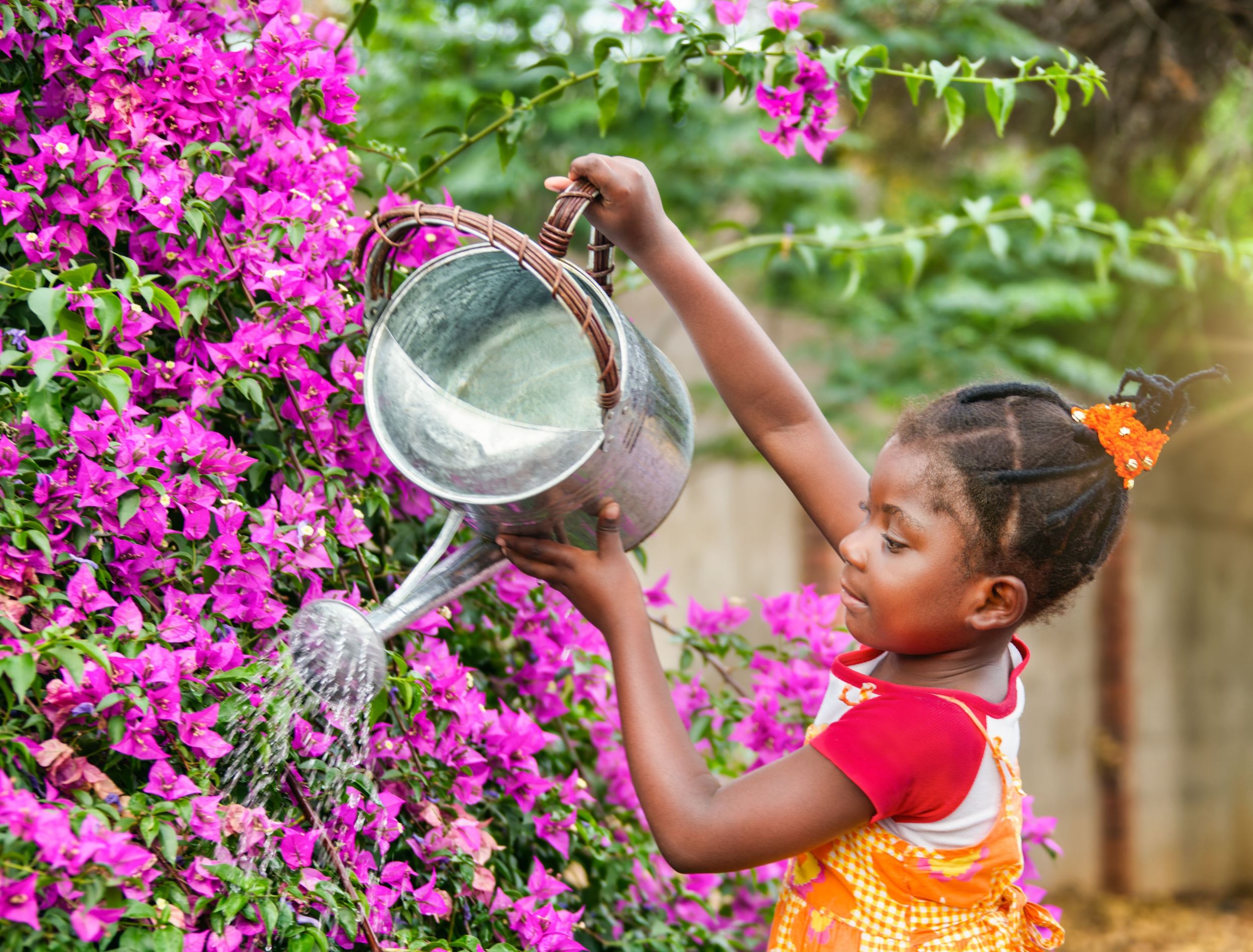 6 Ways to Water Your Garden Better