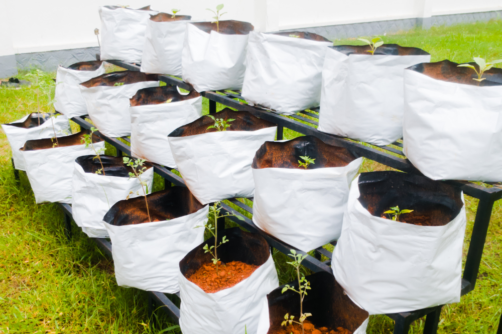 6 Tips For Gardening in Grow Bags