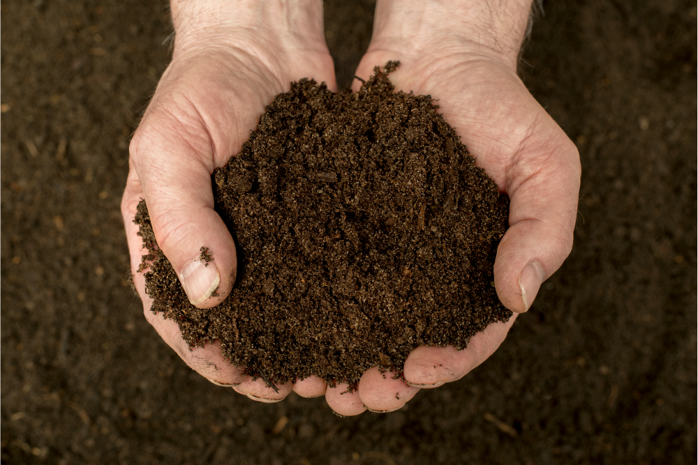 two hands holding compost