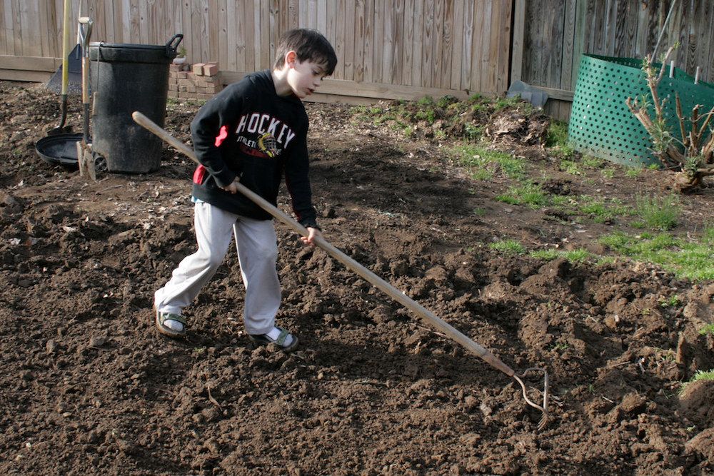 Transform Your Lawn With Potting Soil: Step-by-step Seeding Guide