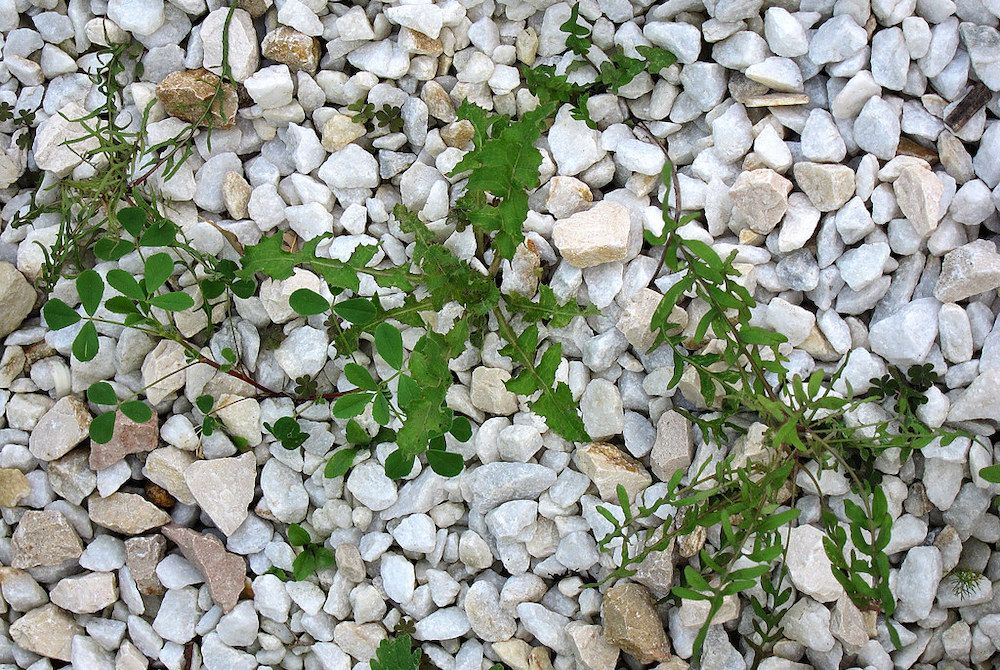 WeedFree Gravel 6 Ways to Remove Weeds from Your Garden, Pathway, or