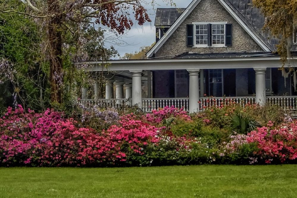 How to Prune Azaleas