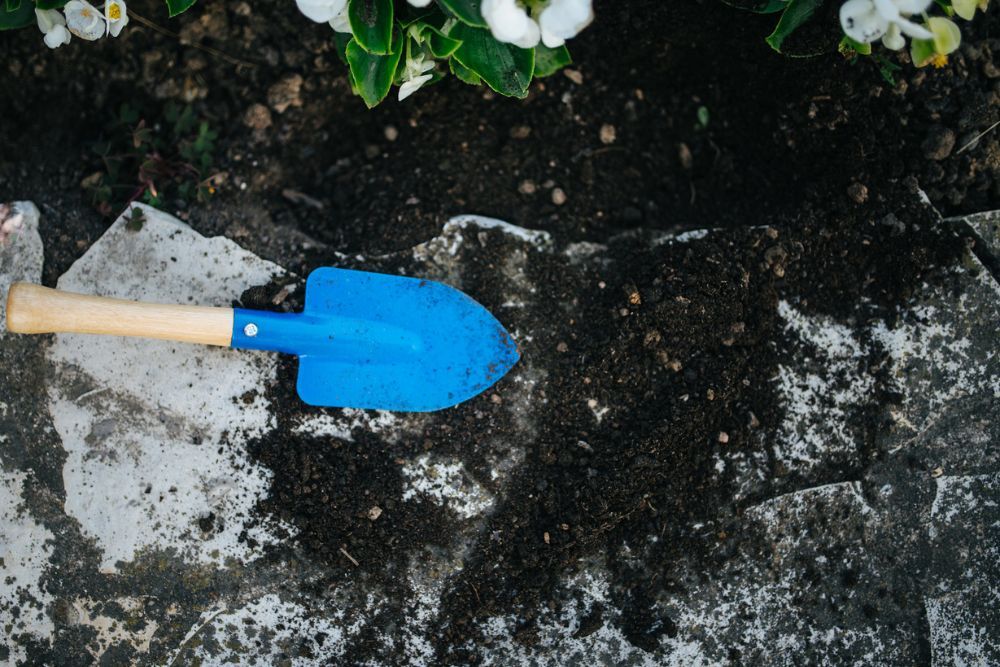 How to Use Baking Soda to Kill Crabgrass