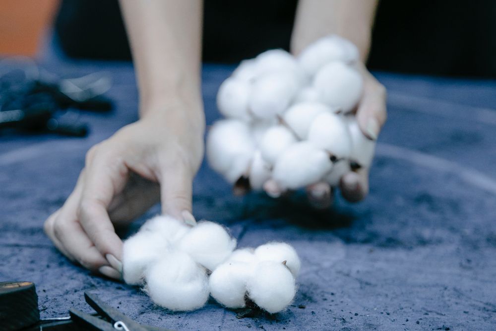 How to Use Vinegar to Repel Rabbits From Your Garden