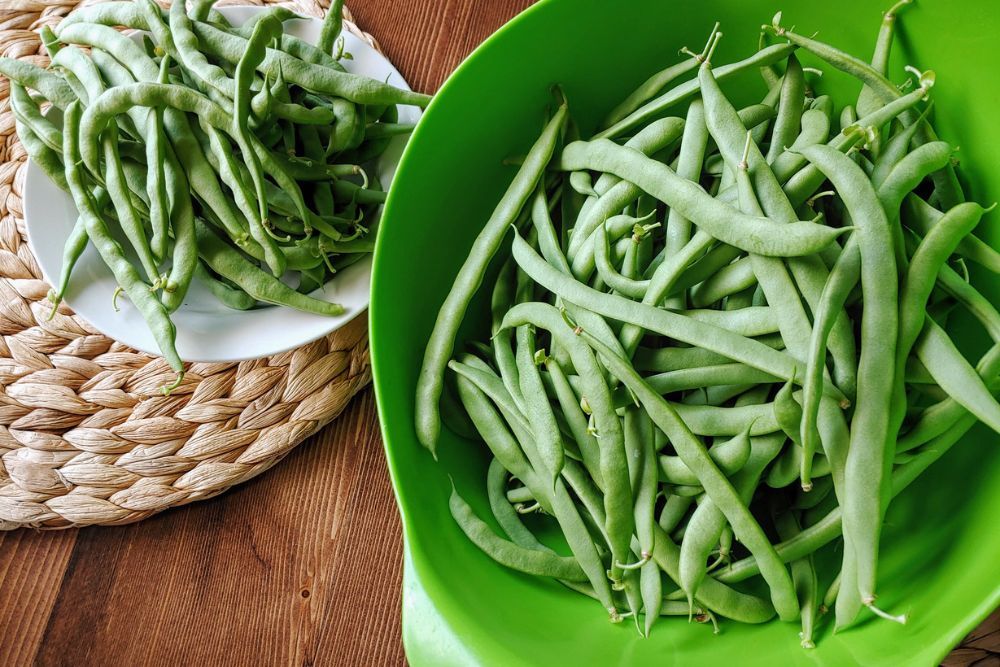 10 Tips For Growing Pole Beans