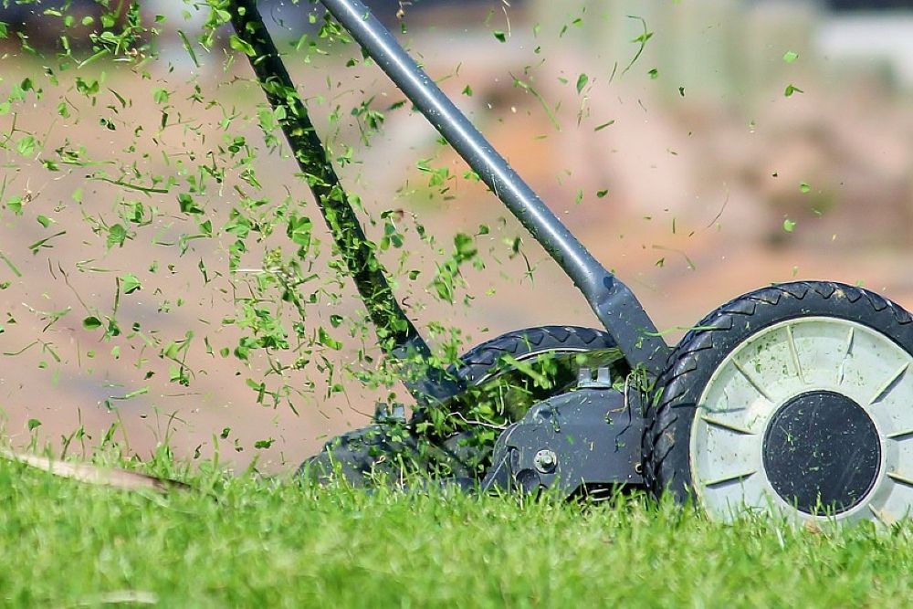 best lawn mower to buy 2023