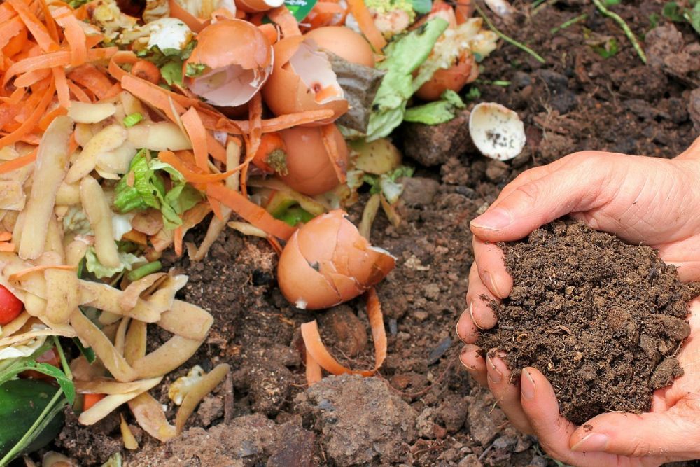 5 Ways to Keep Animals Out of Your Compost