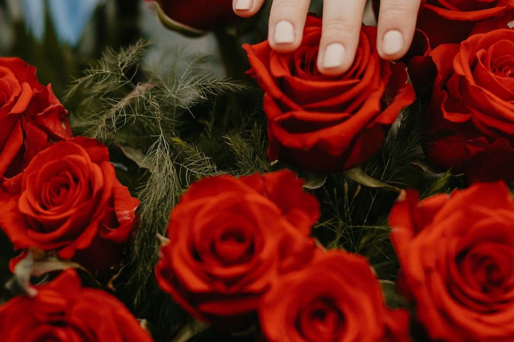 A person gently caressing a beautiful bouquet of vibrant red roses.