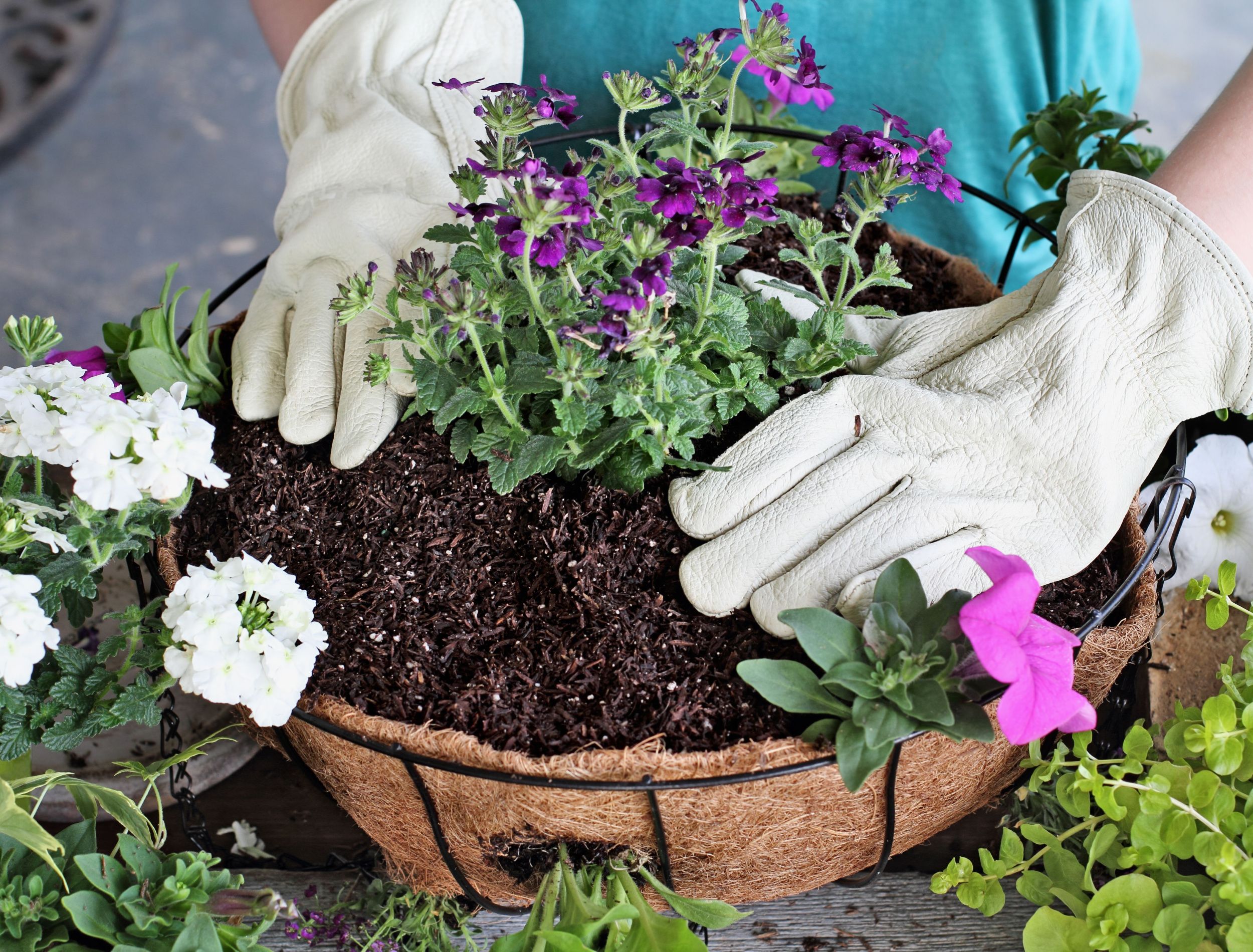 7 Hanging Basket Mistakes to Avoid