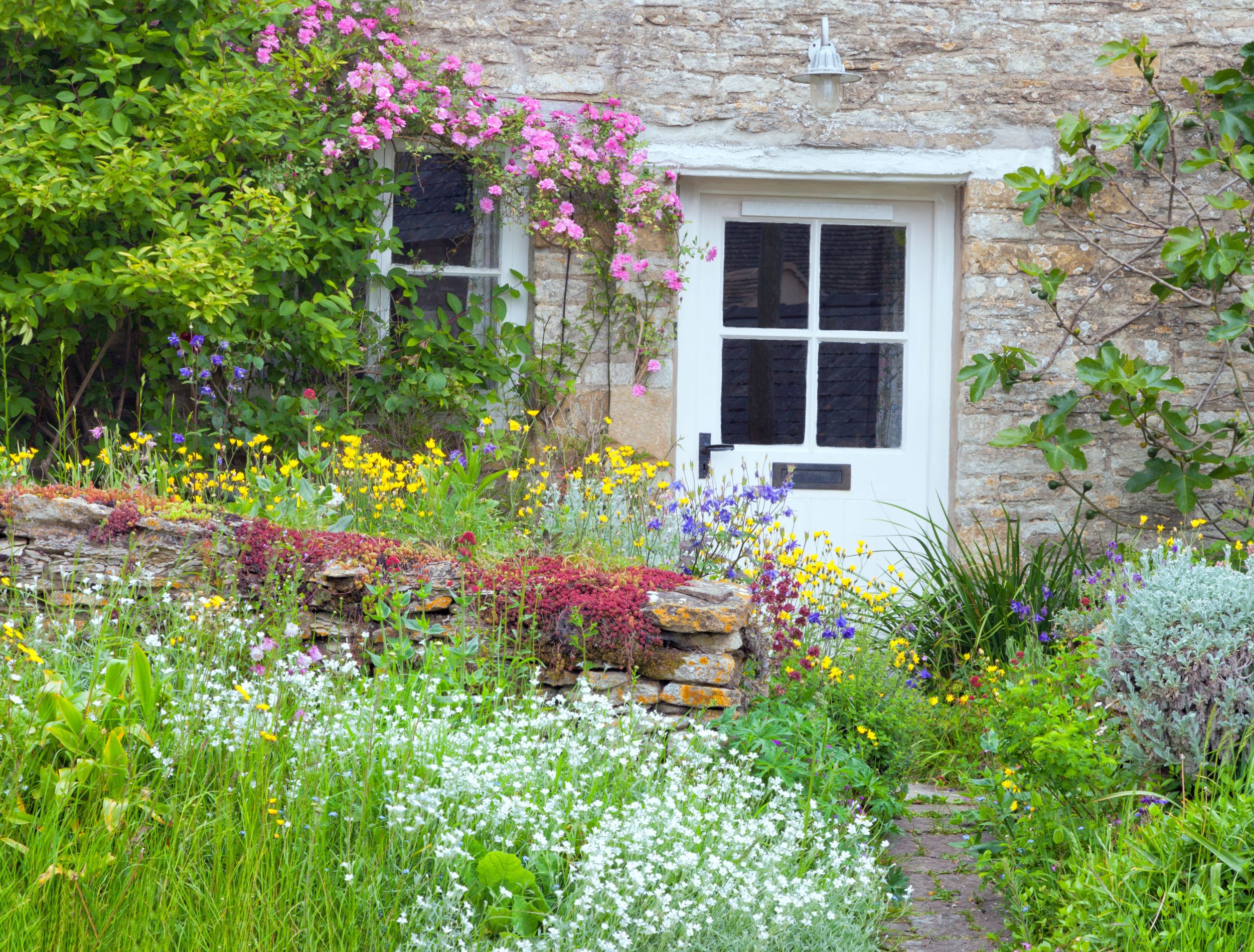 Why You Should Replace Your Lawn With Wildflowers