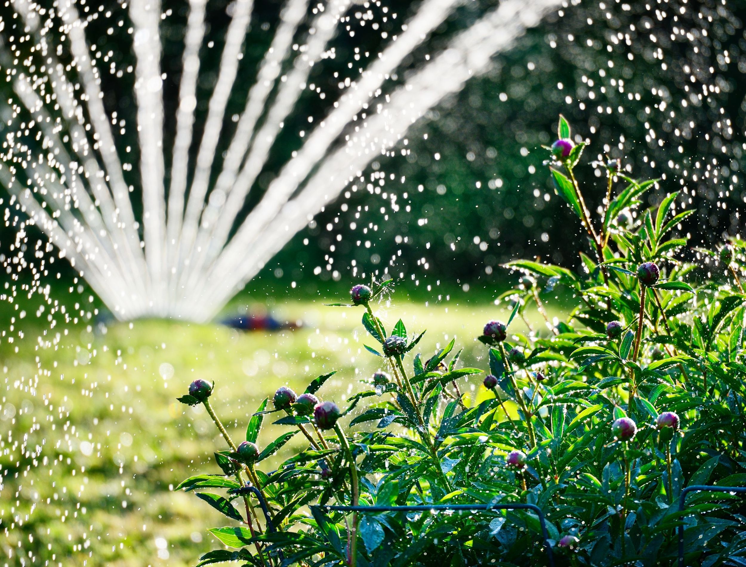 Sprinkler Rotating Lawn Sprinklers Large Area Coverage Water Sprinkler for  Garden Yard Lawns Oscillating Hose 360 Degree Rotation Irrigation System