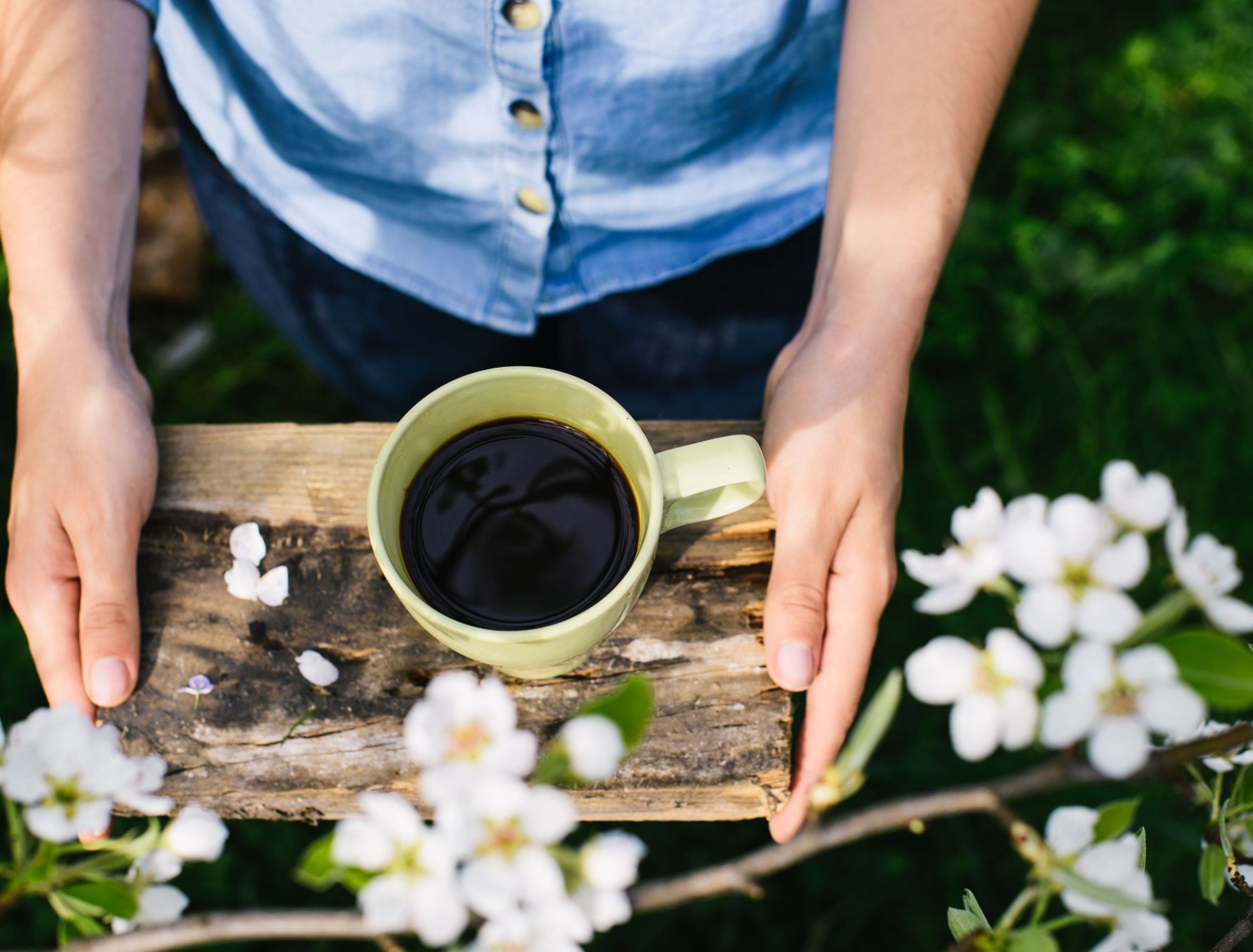 How to Use Coffee Grounds to Repel Rabbits From Your Garden