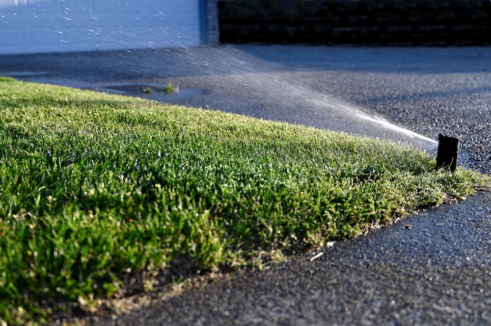 The Best Time of Day to Water Your Lawn