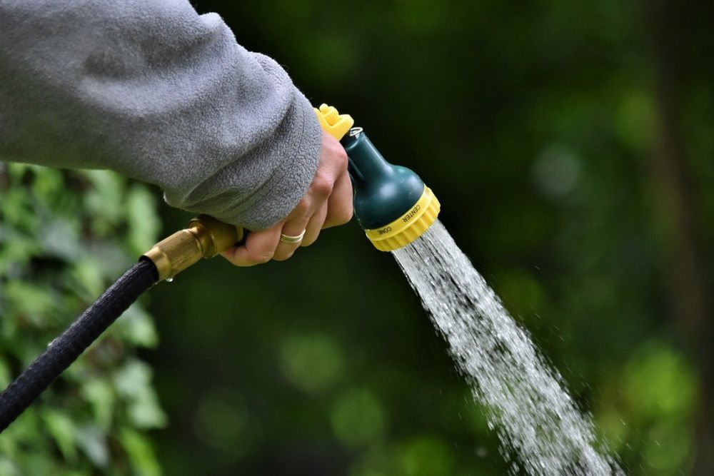 Why You Should Use Pasta Water to Water Your Plants