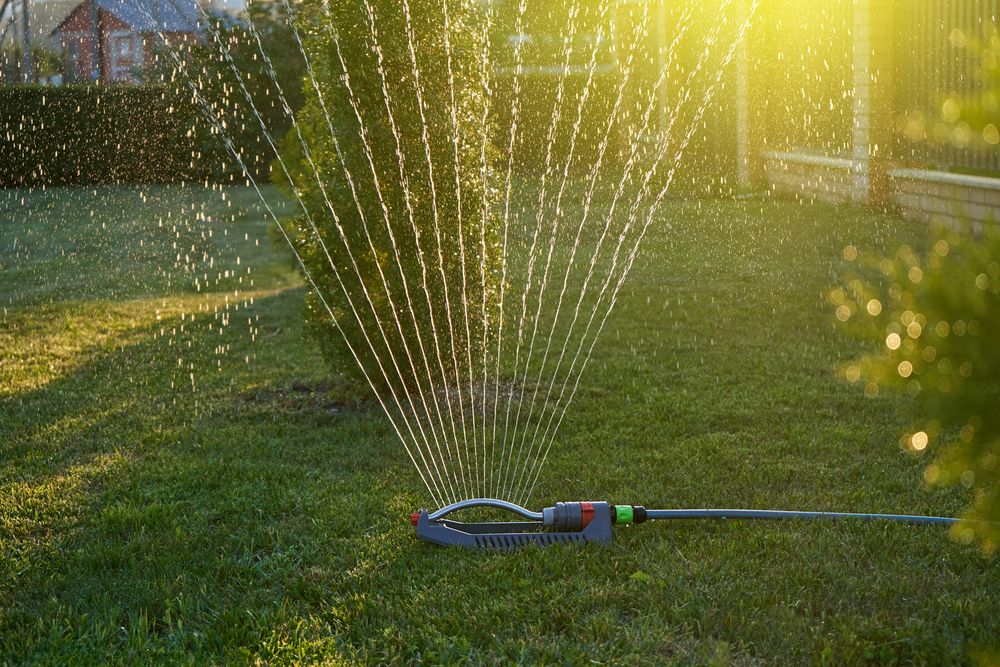 Watering lawn in the evening 