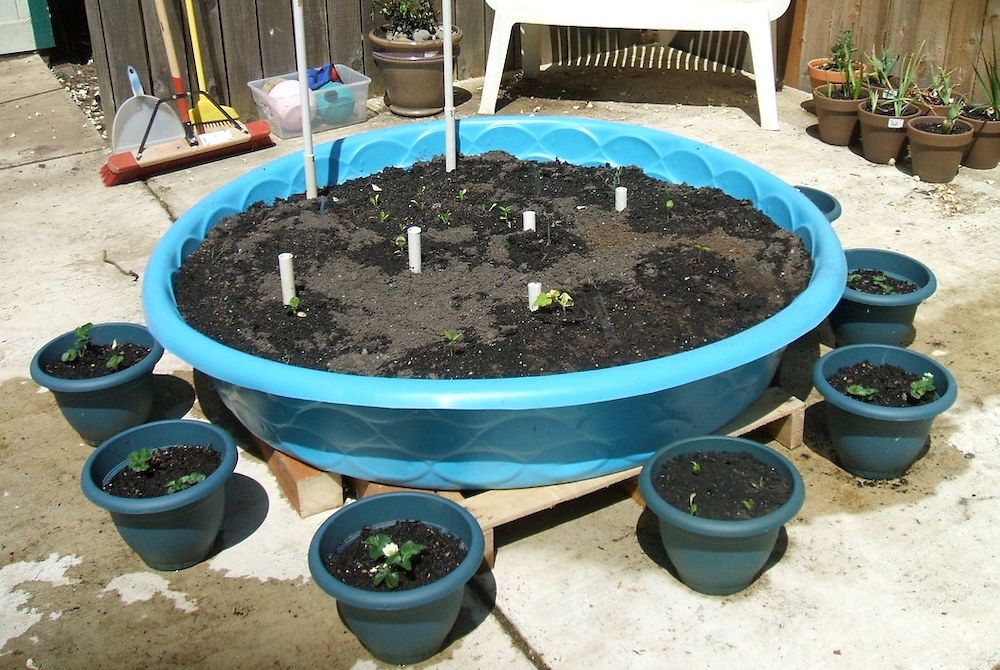 Beyond the Borders 8 Creative Garden Bed Alternatives to Explore