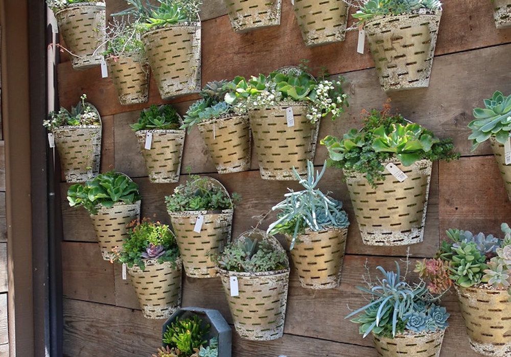 15 Awesome Container Gardening Ideas