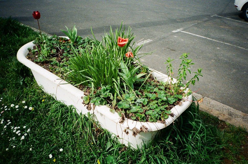 Beyond the Borders 8 Creative Garden Bed Alternatives to Explore