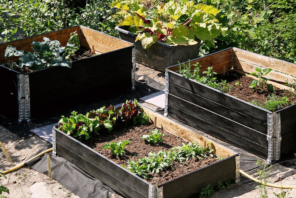 15 Awesome Container Gardening Ideas