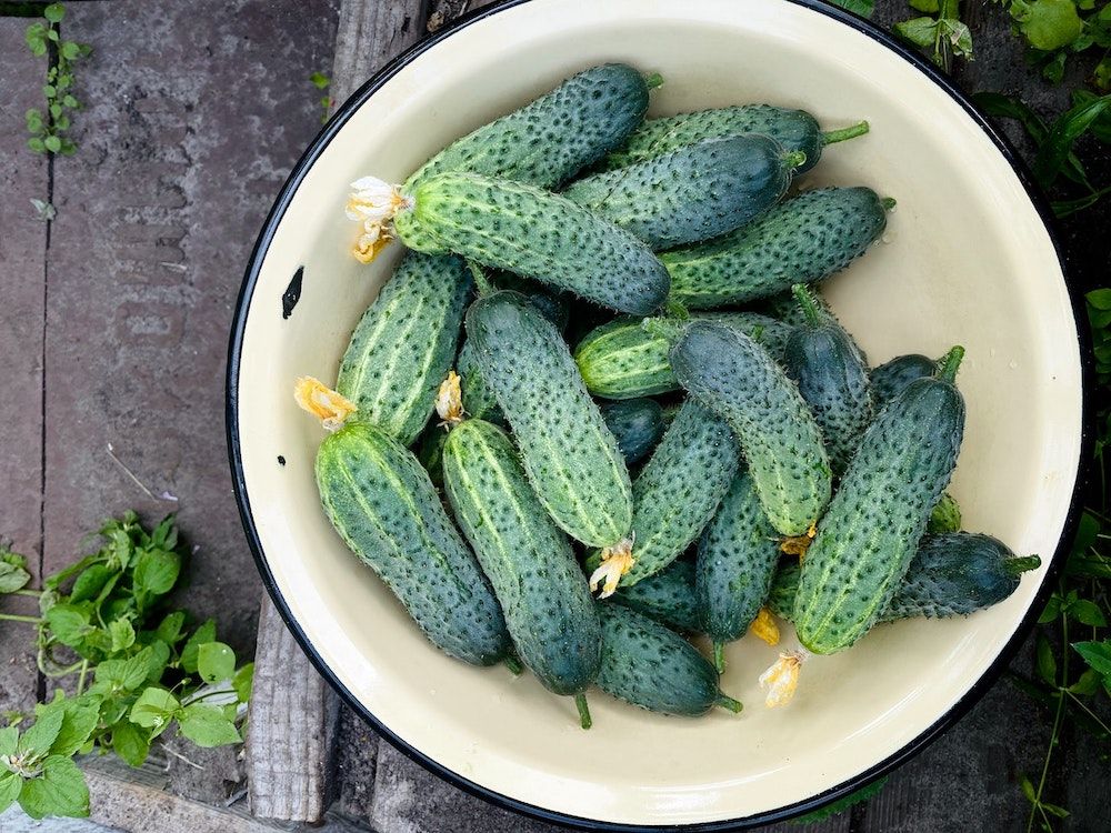 cucumbers in basket