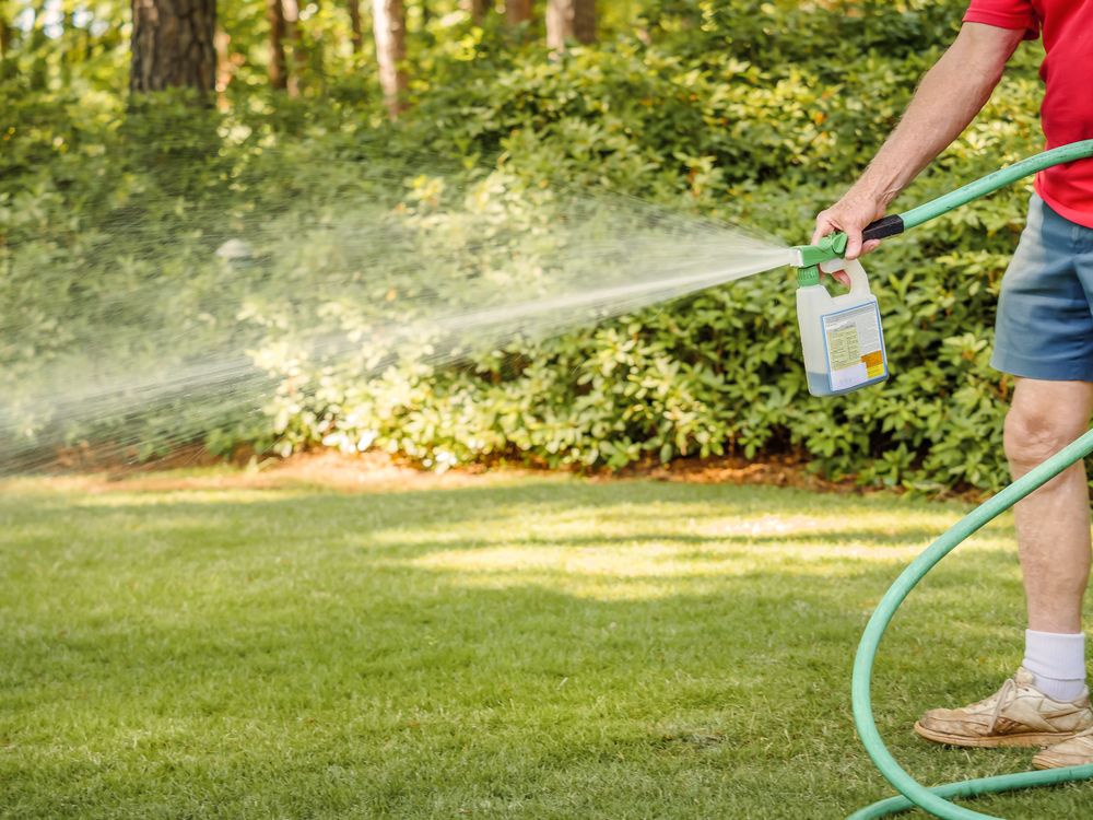 How to Use Baby Shampoo to Make Your Lawn Thrive