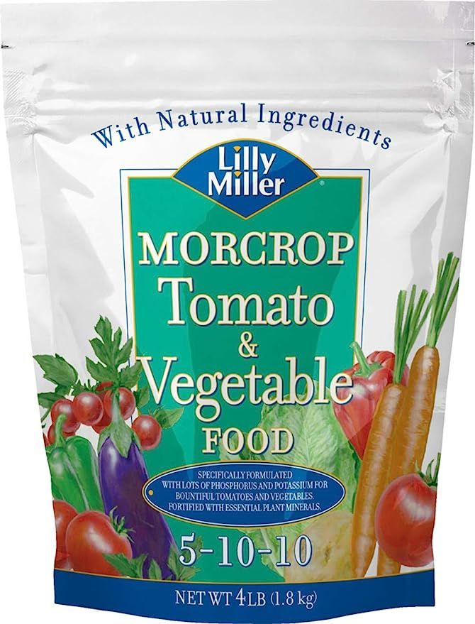 morcrop vegtable food
