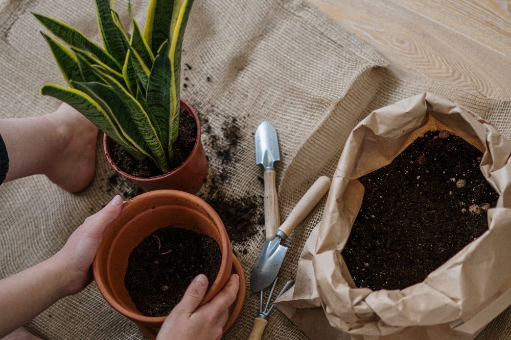 Person gardening and adding potting soil to a container plant