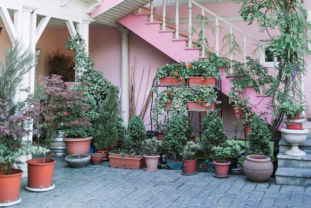 Potted plants in patio of apartment house