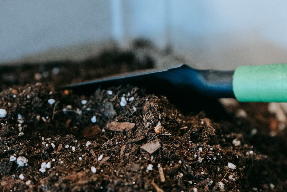 7 Ways to Speed Up Your Compost